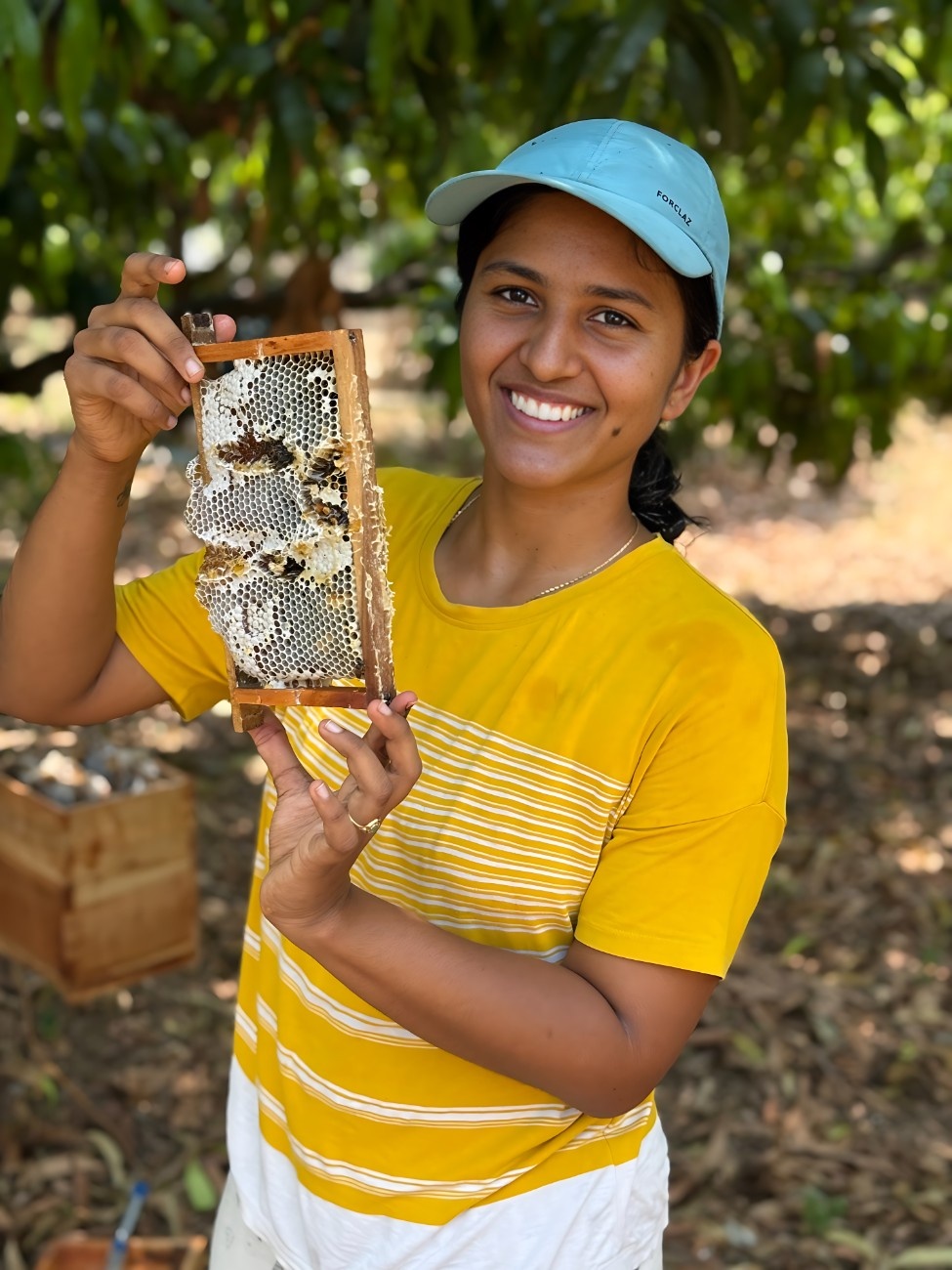 Beekeeping Background